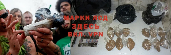 сатива Абдулино