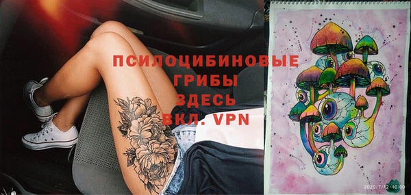 сатива Абдулино