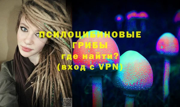 дурь Абаза