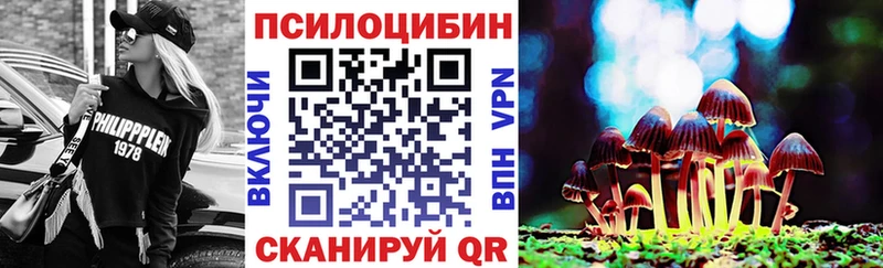 Псилоцибиновые грибы Psilocybe  Лысково 